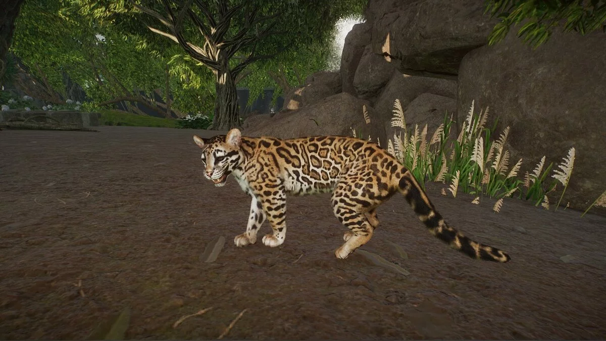 Planet Zoo — Оцелот