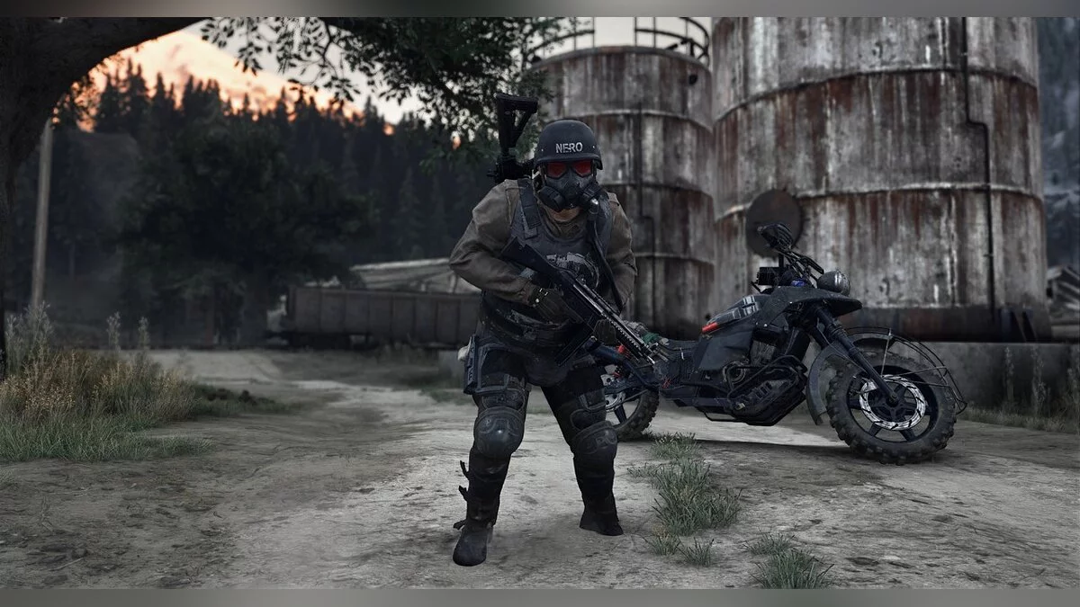 Days Gone — Палач NERO