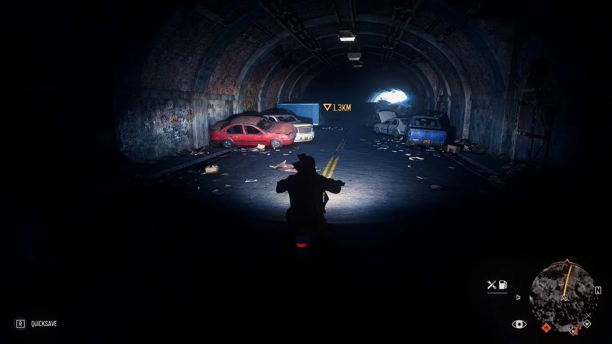 Days Gone — Реалистичные цвета