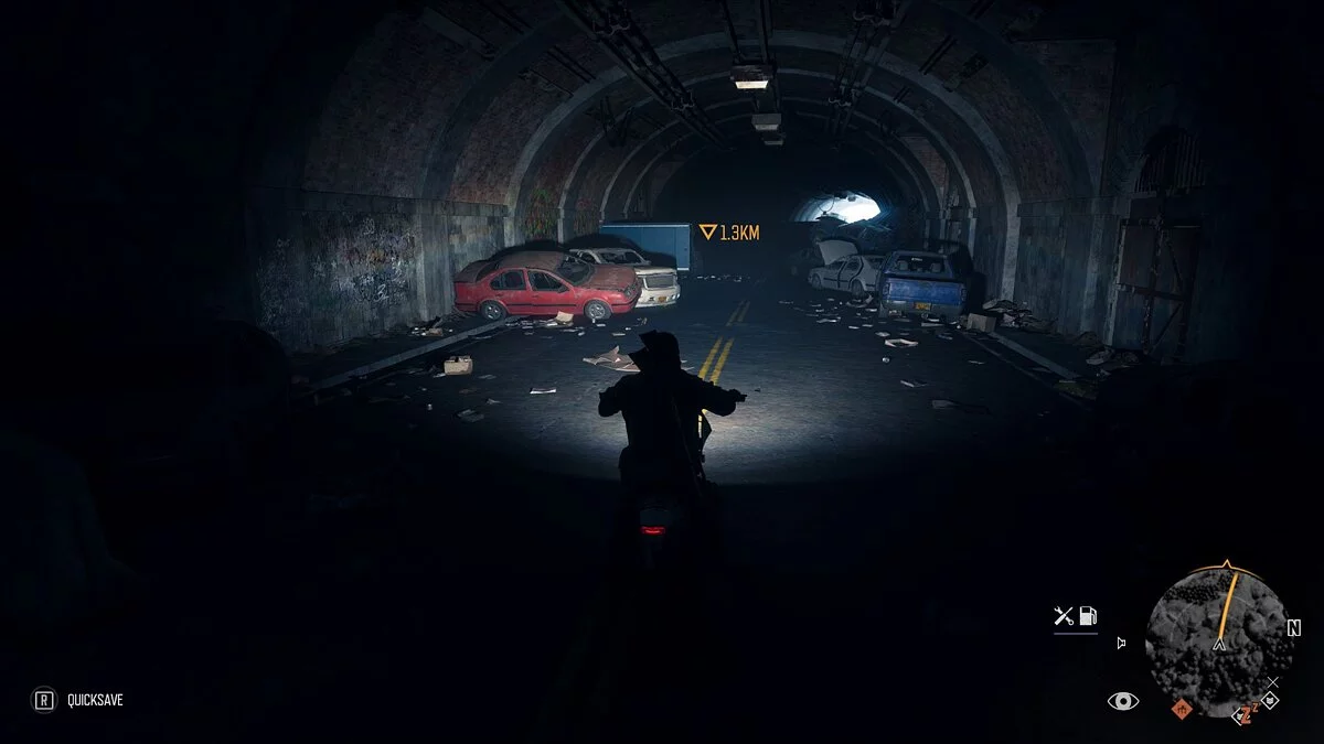 Days Gone — Реалистичные цвета