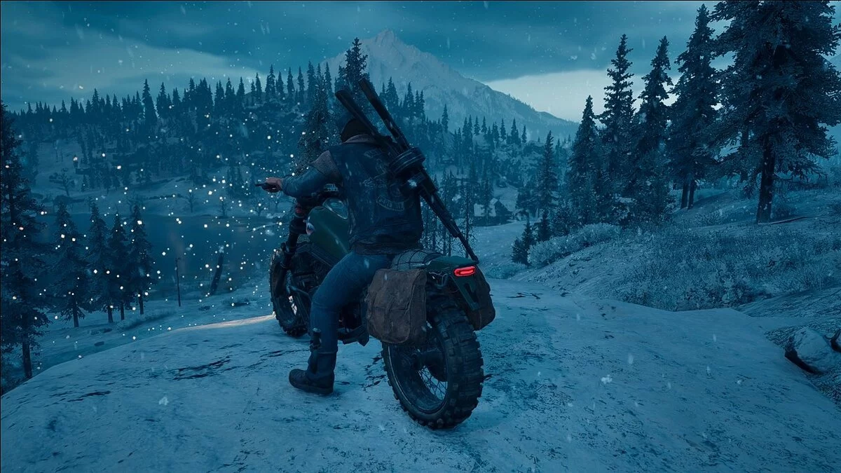 Days Gone — Двойные седельные сумки