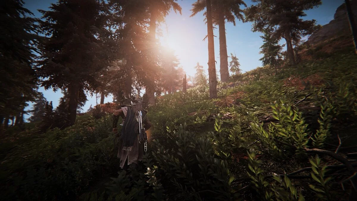 Assassin&#039;s Creed Valhalla — Различные оттенки глубины резкости