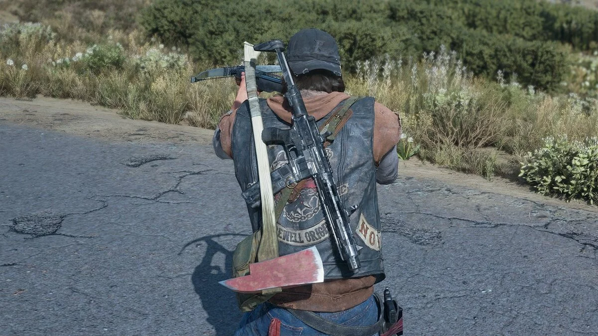 Days Gone — Черная раскраска для винтовки «Honey Badger»