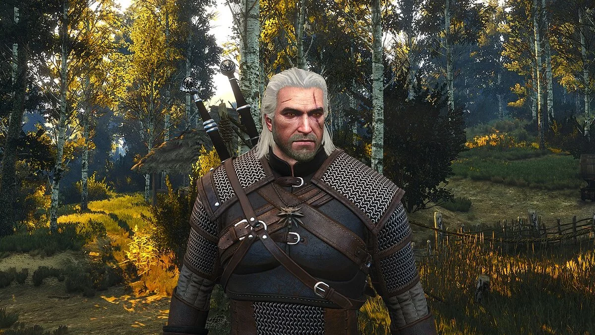 The Witcher 3: Wild Hunt - Complete Edition — Ремастер Геральта