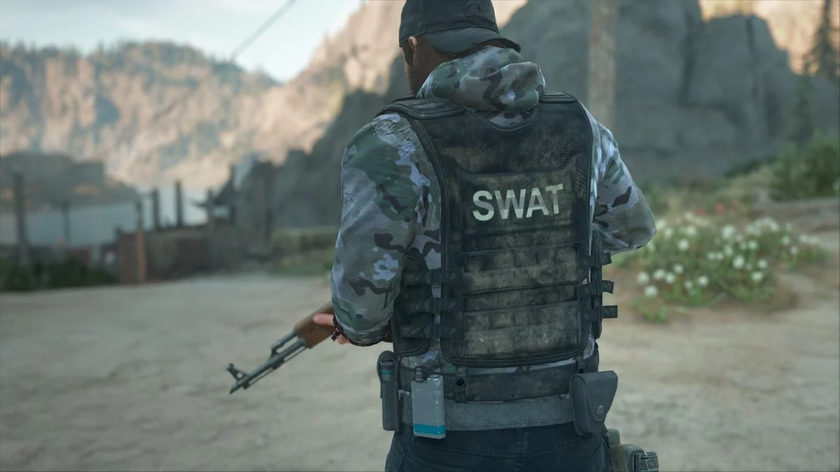 Days Gone — Одежда Swat