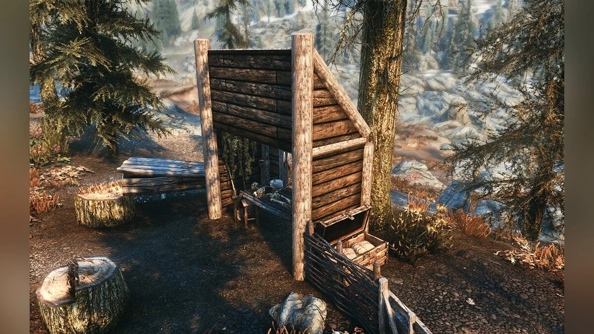 Elder Scrolls 5: Skyrim Special Edition — Кладбище в «Роще Кин»