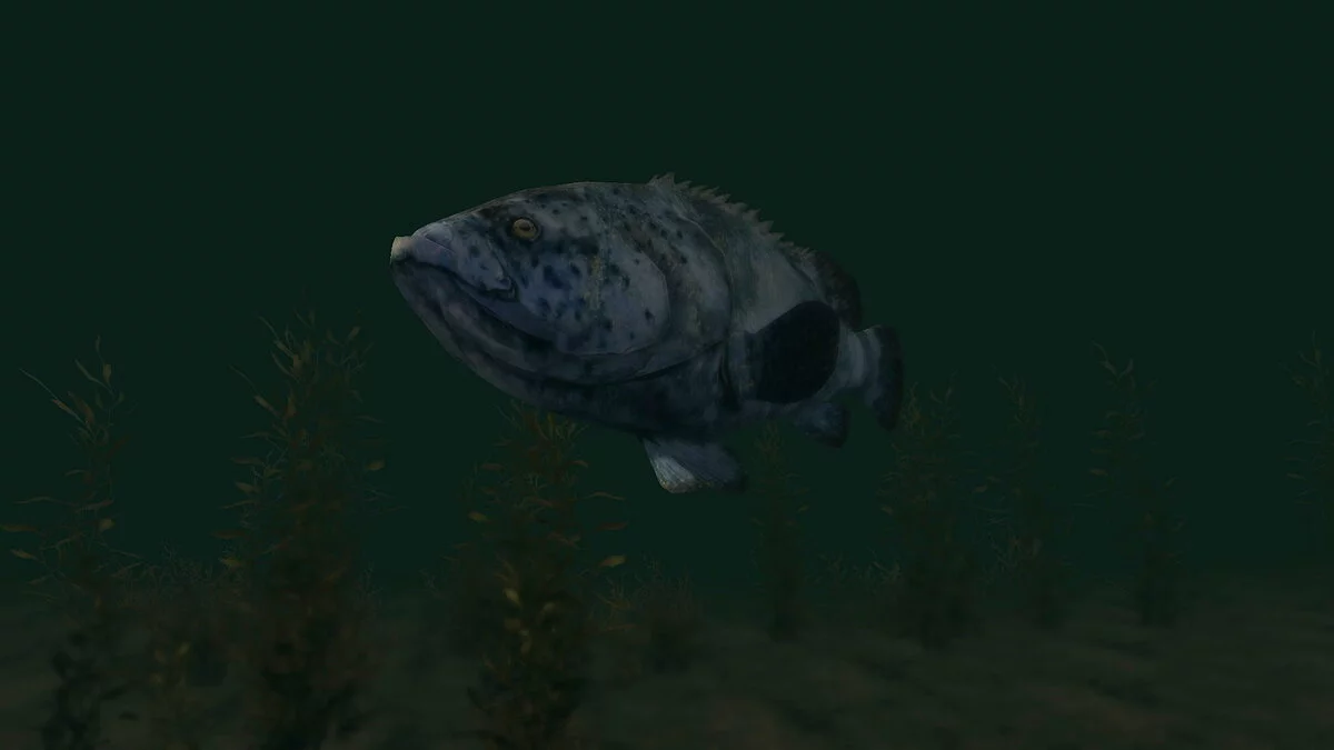 Elder Scrolls 5: Skyrim Special Edition — Голиафы-групперы