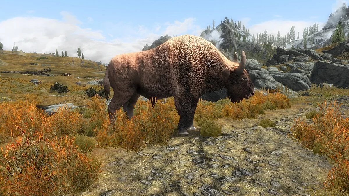 Elder Scrolls 5: Skyrim Special Edition — Бизон