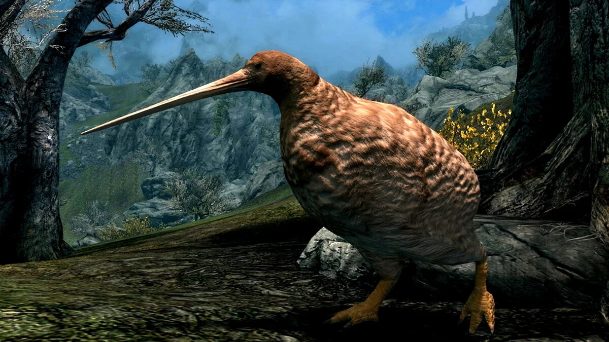 Elder Scrolls 5: Skyrim Special Edition — Птица Киви