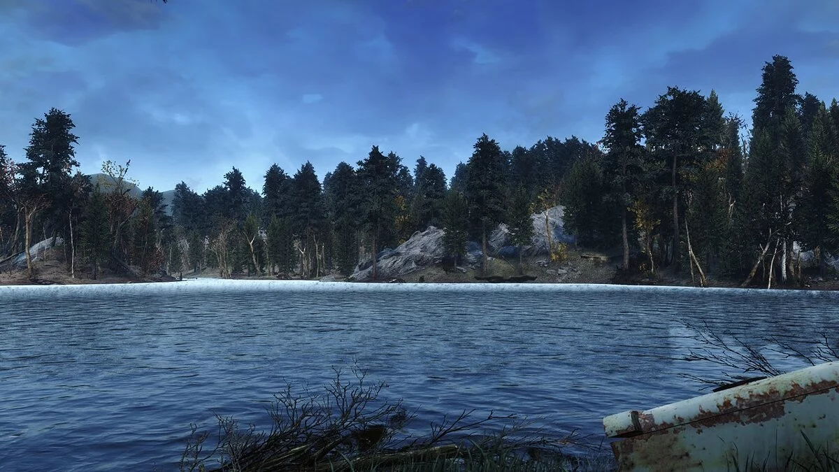 Fallout 4: Game of the Year Edition — Густой сосновый лес