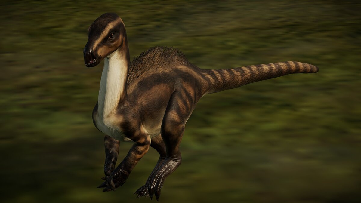 Jurassic World Evolution — Гетеродонтозавр (новый вид)