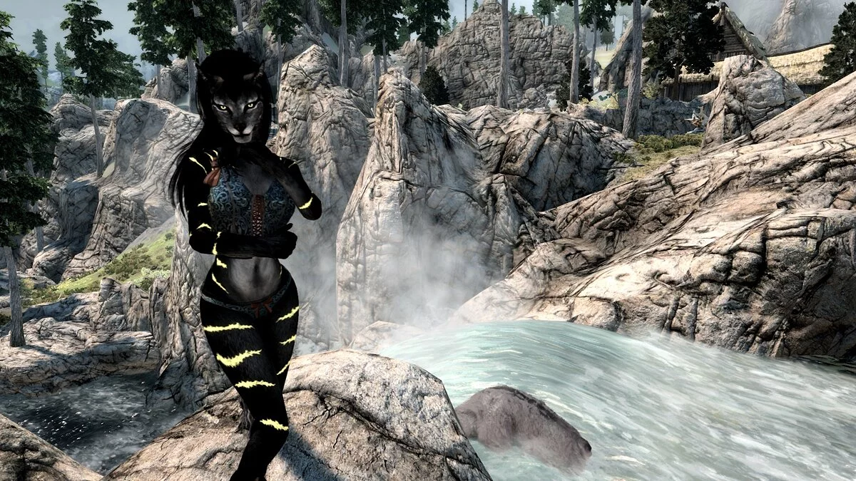 Elder Scrolls 5: Skyrim Special Edition — Ка'ила - автономный последователь хаджит