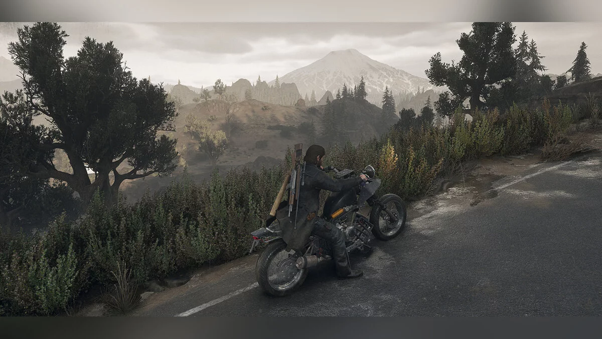 Days Gone — Естественный реализм