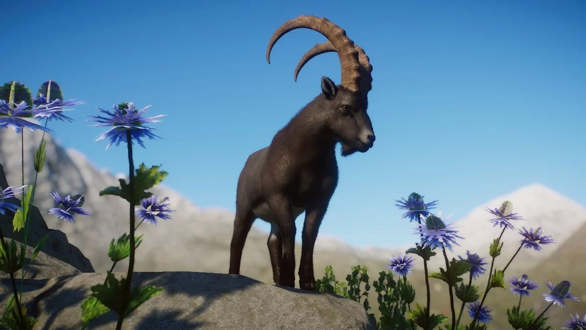 Planet Zoo — Горный козерог (новый вид)