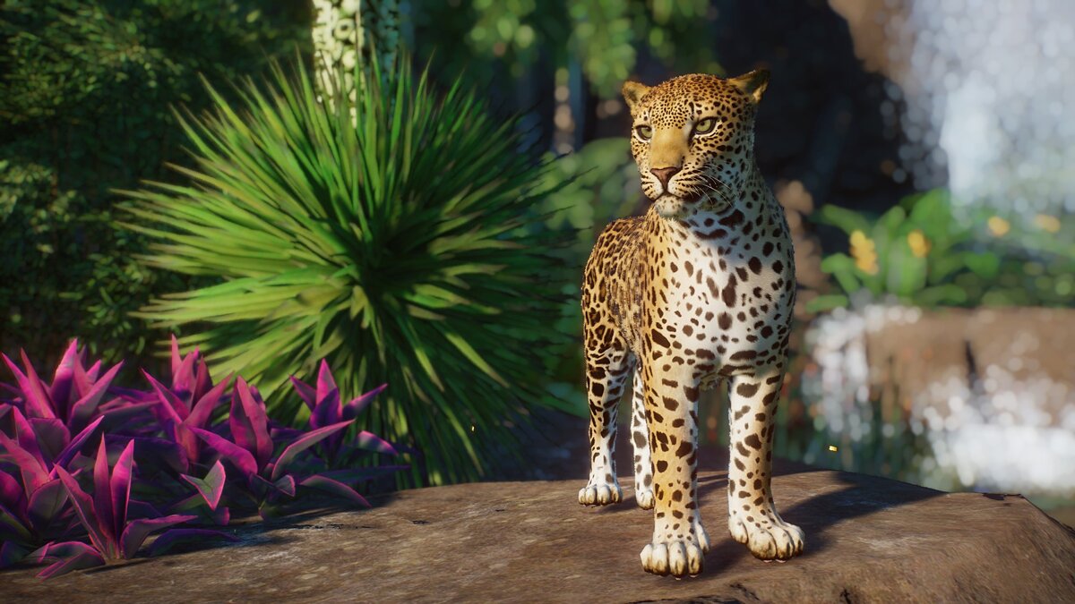 Planet Zoo — Индийский леопард (новый вид)