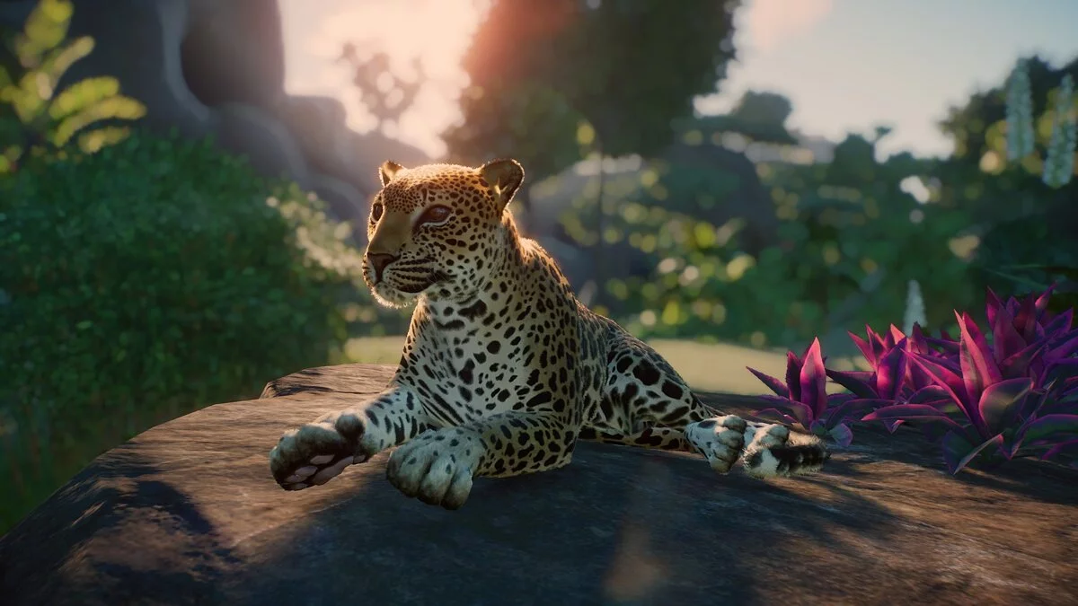 Planet Zoo — Индийский леопард (новый вид)