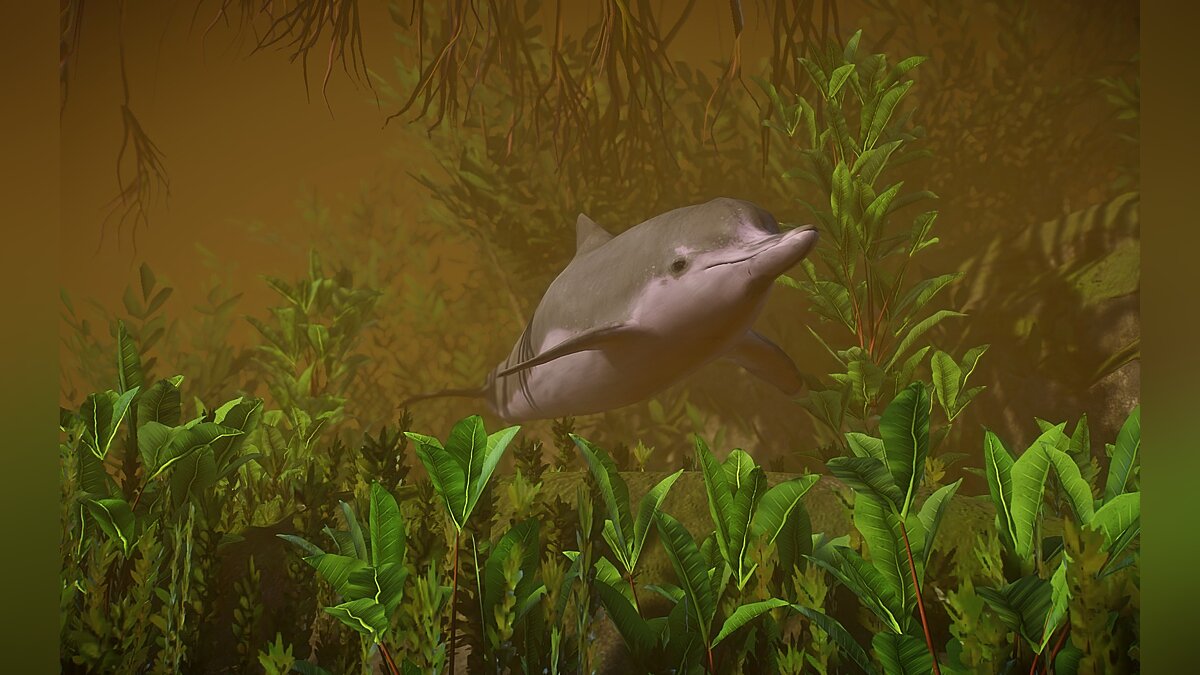Planet Zoo — Дельфин (новый вид)