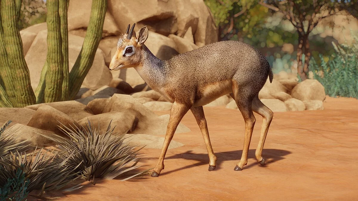 Planet Zoo — Дик-дик Кирка (новые виды)