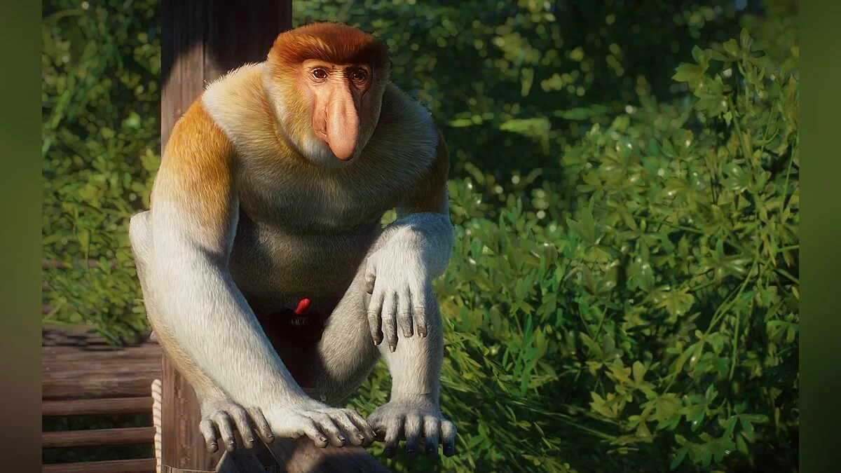 Planet Zoo — Реалистичная обезьянка с хоботком