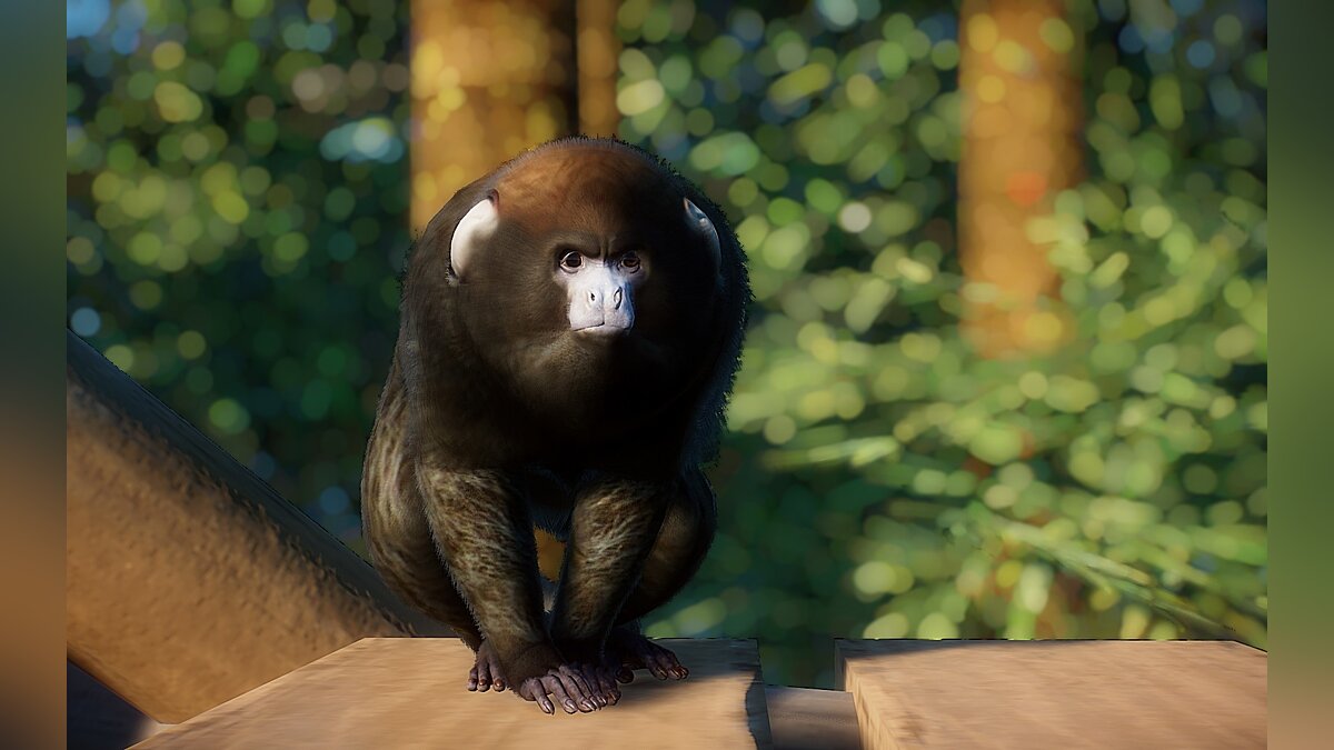 Planet Zoo — Боливийская серая обезьяна Тити (новые виды)
