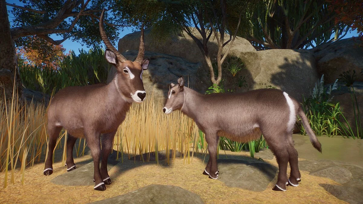 Planet Zoo — Обыкновенный водяной козел (новые виды)