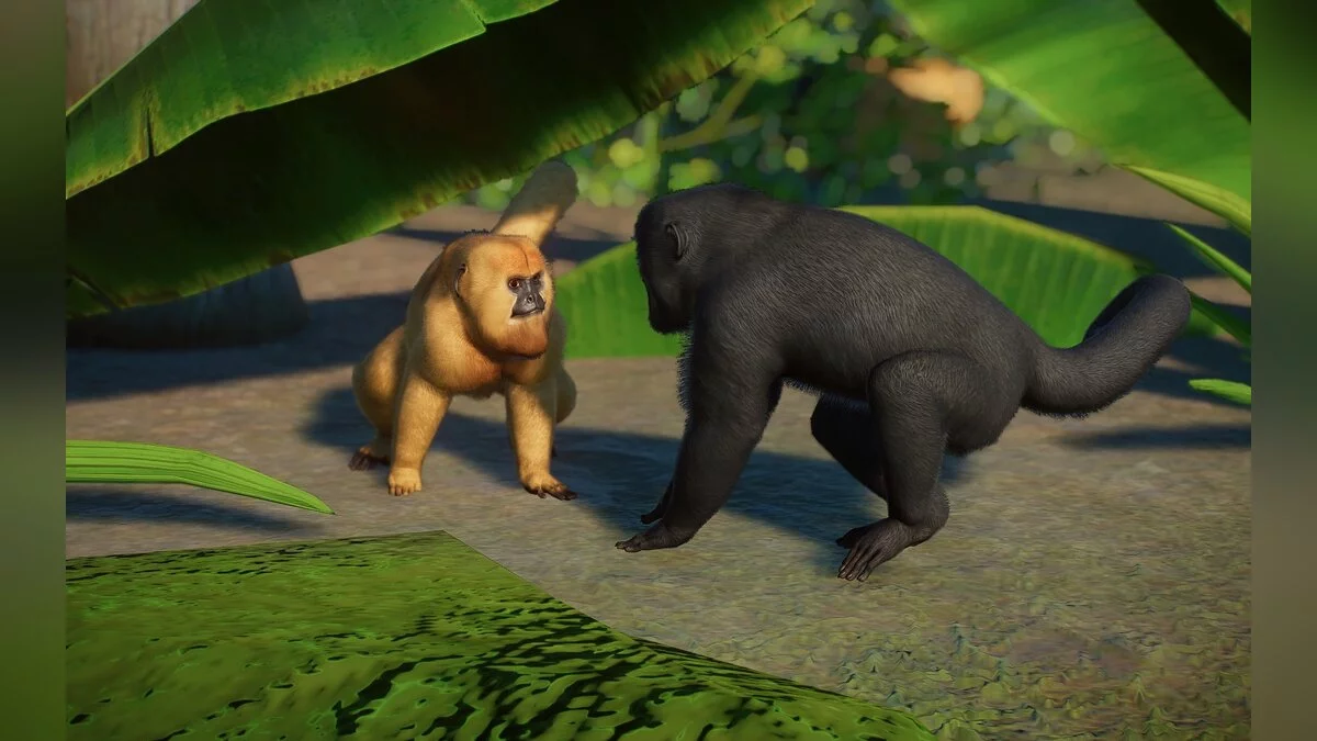 Planet Zoo — Черная обезьяна-ревун (новые виды)