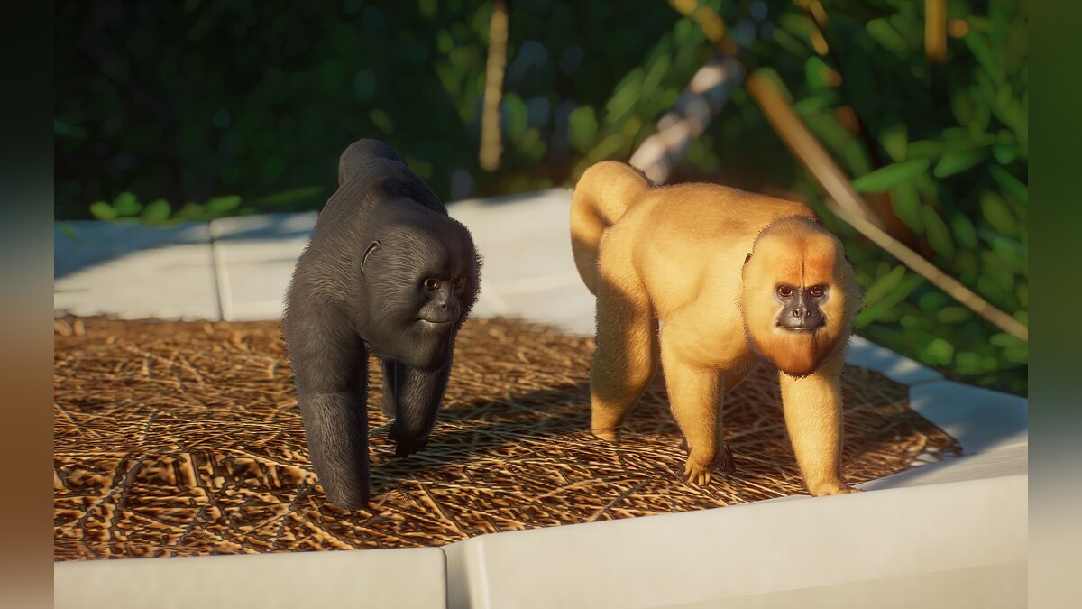 Planet Zoo — Черная обезьяна-ревун (новые виды)
