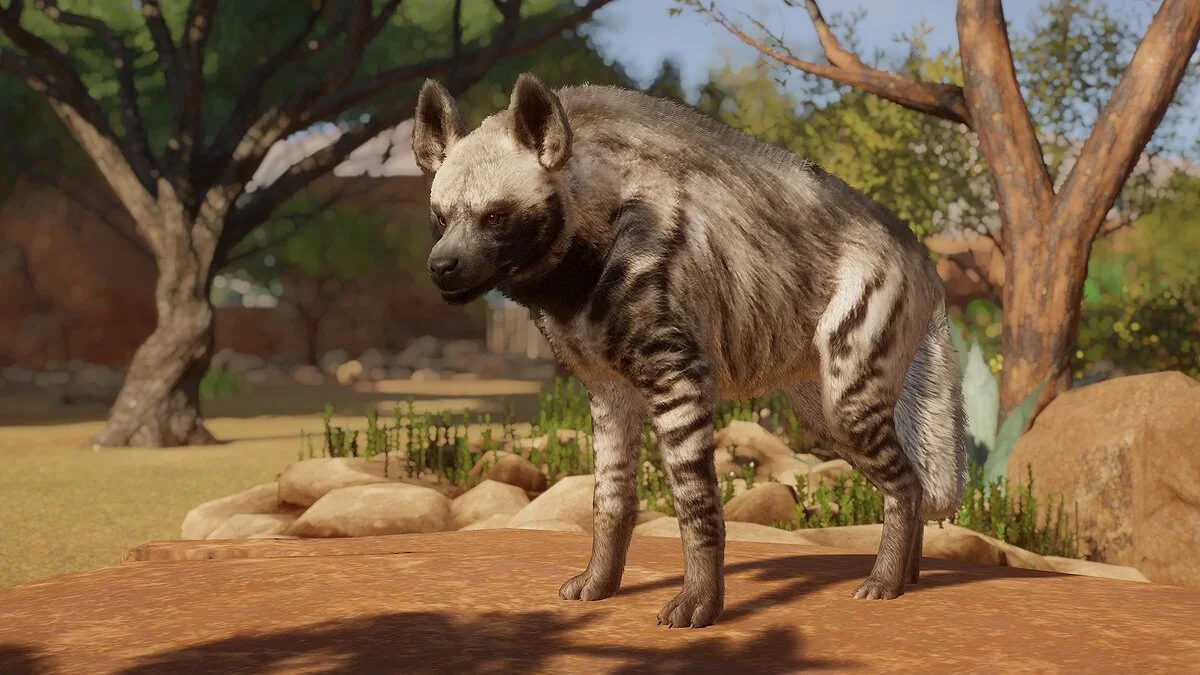 Planet Zoo — Полосатая гиена (новый вид)