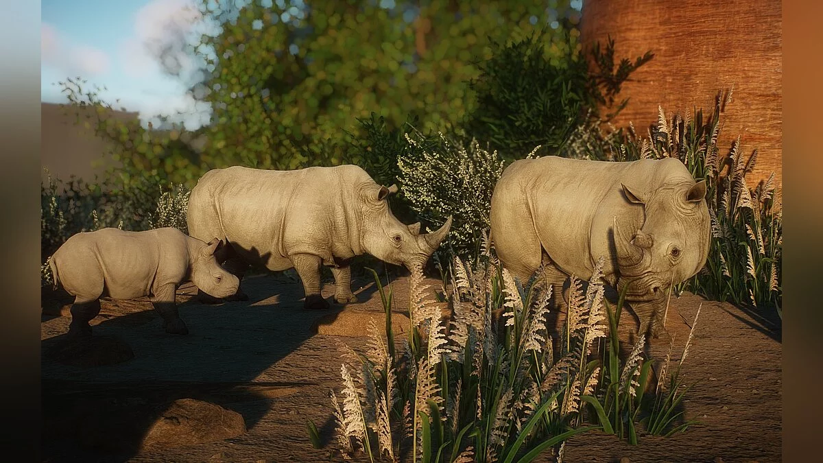 Planet Zoo — Северный белый носорог (новый вид)