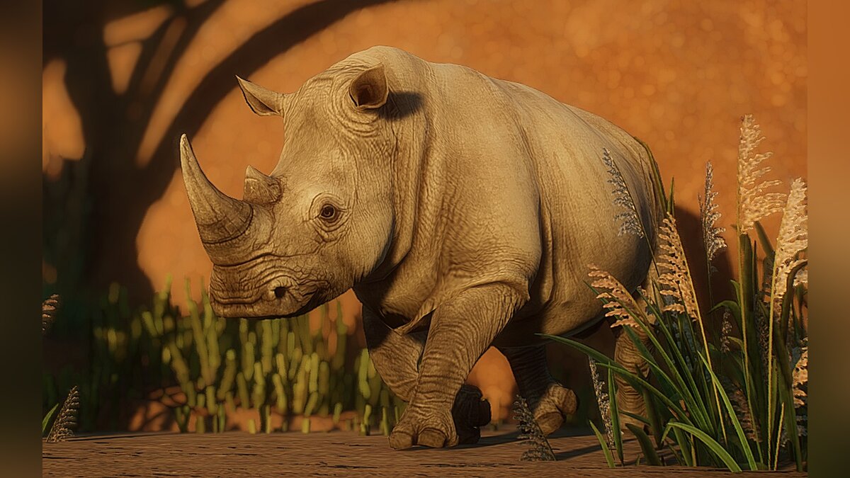 Planet Zoo — Северный белый носорог (новый вид)