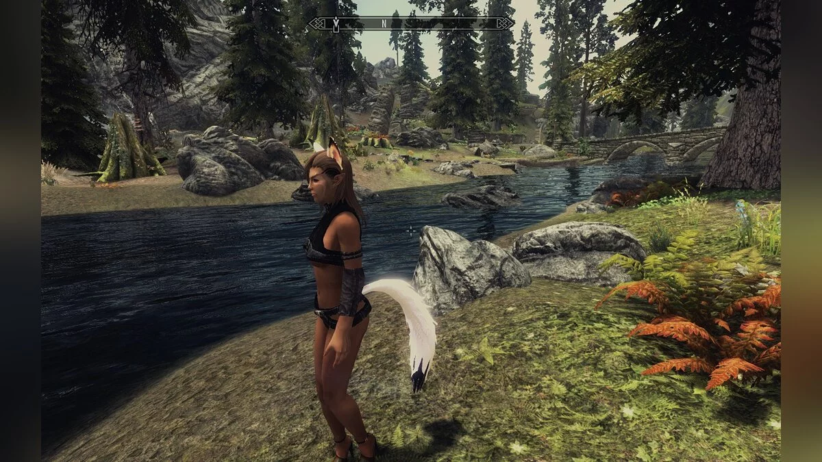 The Elder Scrolls 5: Skyrim Legendary Edition — Носимые хвосты