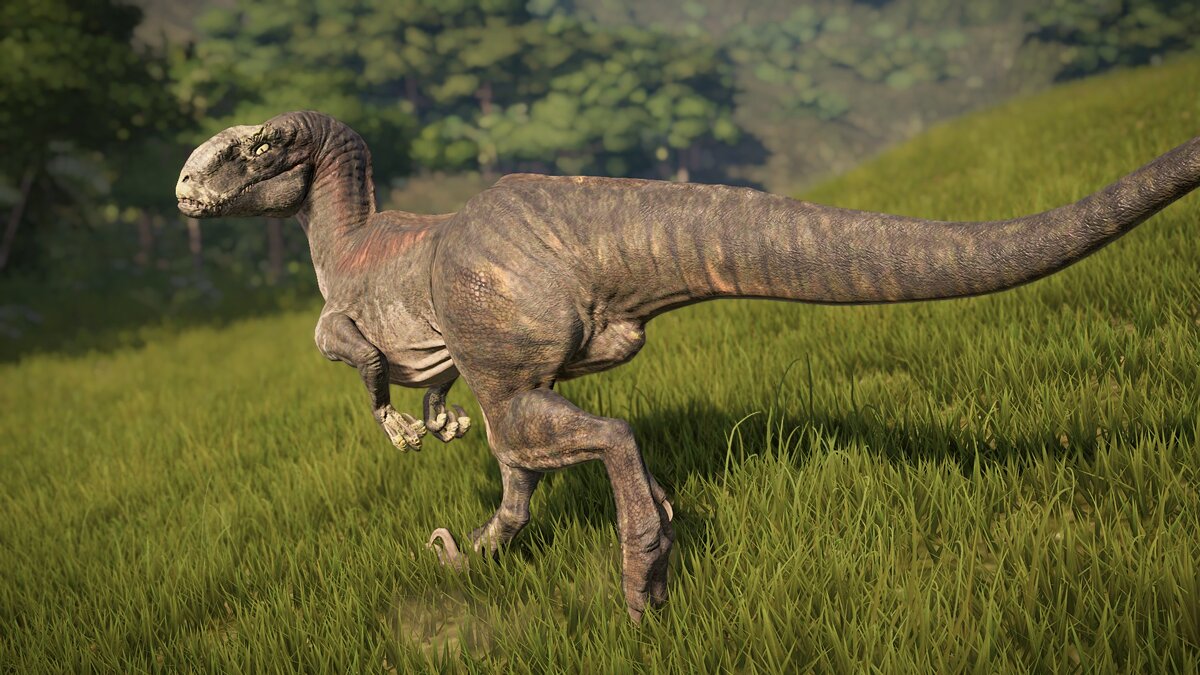 Jurassic World Evolution — Венатозавр (новый вид)