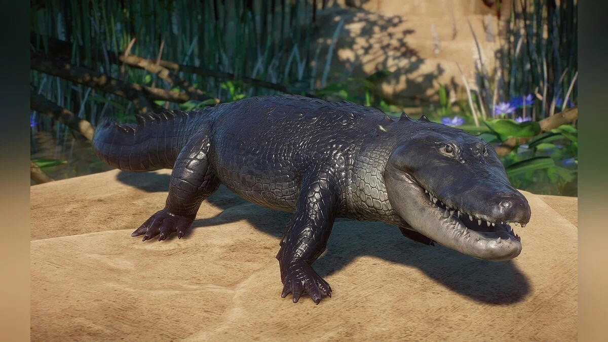 Planet Zoo — Американский аллигатор (новые виды)