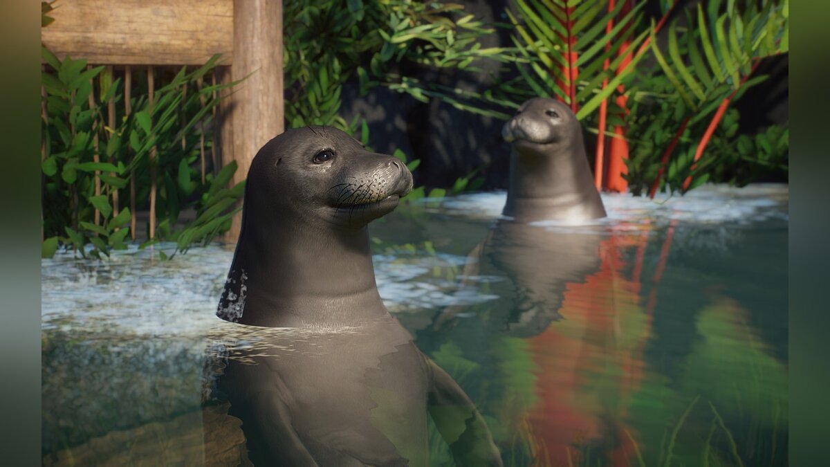 Planet Zoo — Гавайский тюлень-монах (новые виды)