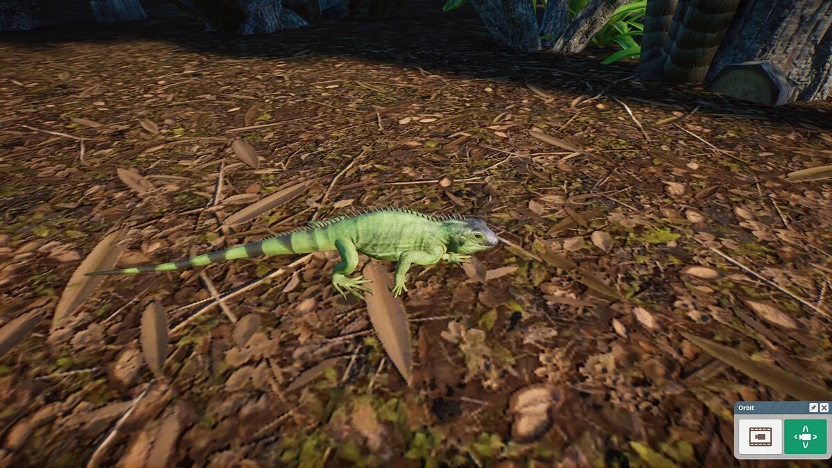 Planet Zoo — Зеленая игуана