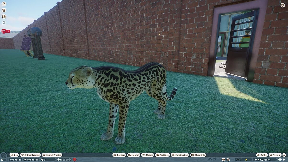 Planet Zoo — Королевский гепард