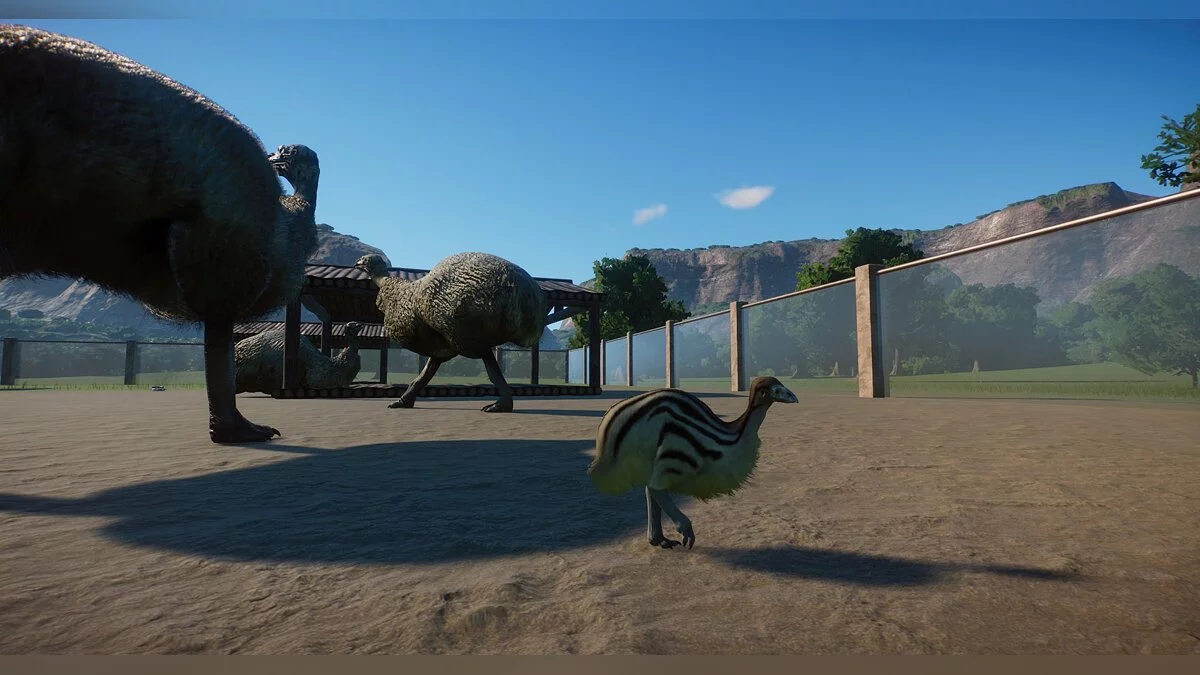 Planet Zoo — Новый вид - слоновая птица