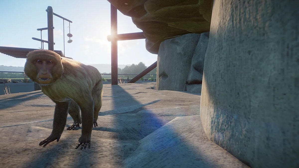 Planet Zoo — Берберийские макаки - новые виды