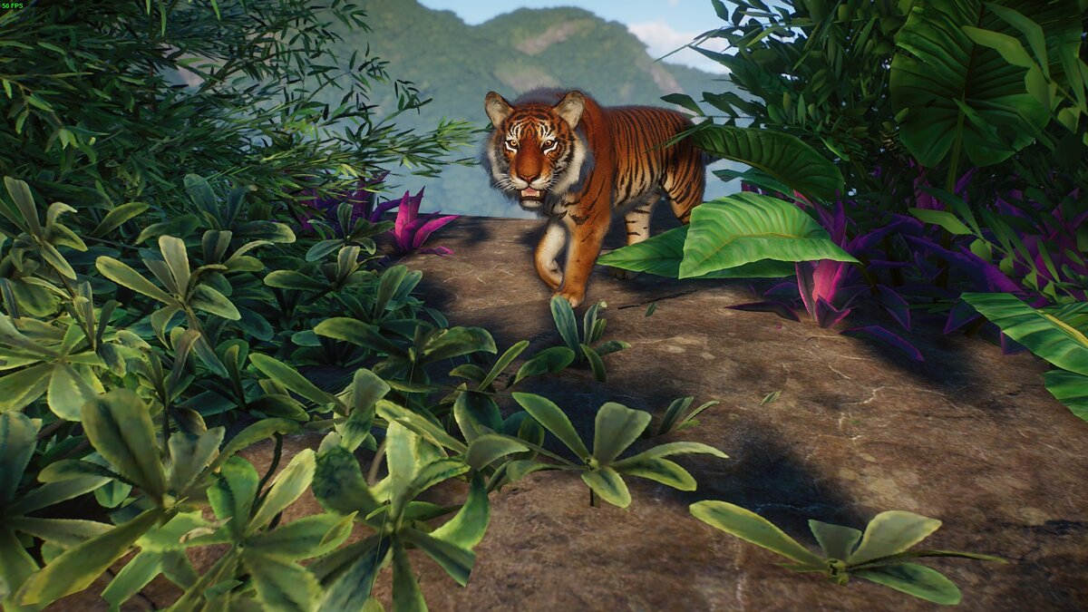 Planet Zoo — Суматранский тигр