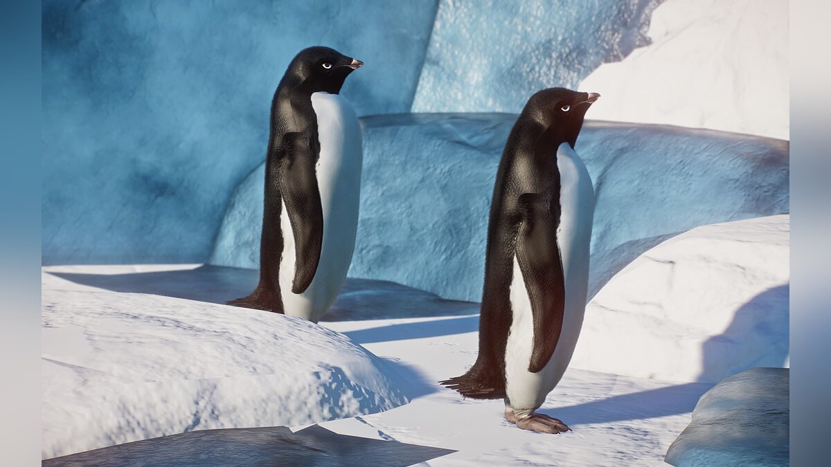 Planet Zoo — Новый вид - gингвин Адели