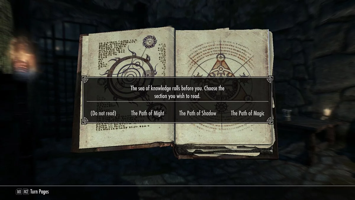 Elder Scrolls 5: Skyrim Special Edition — Истинный Огма Инфиниум