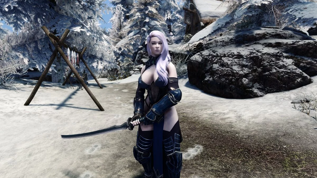 Elder Scrolls 5: Skyrim Special Edition — Эльфийские наемники