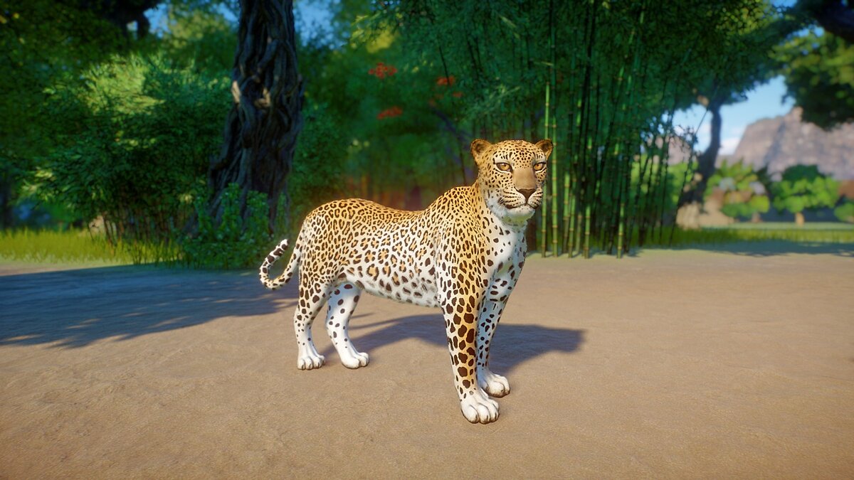 Planet Zoo — Шри-ланкийский леопард - новый вид