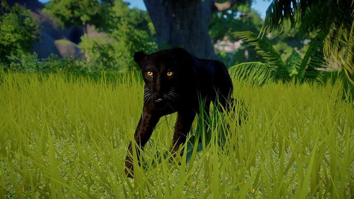 Planet Zoo — Шри-ланкийский леопард - новый вид