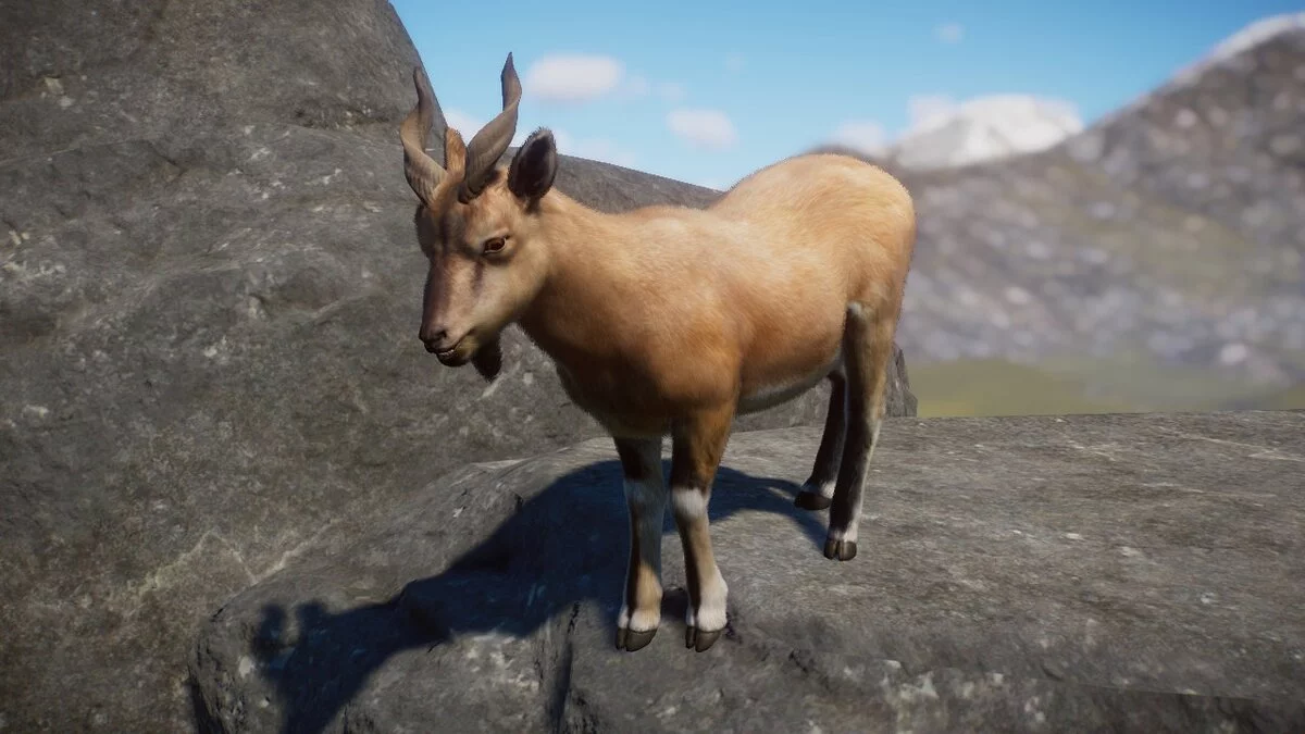 Planet Zoo — Бухарский козел - новый вид