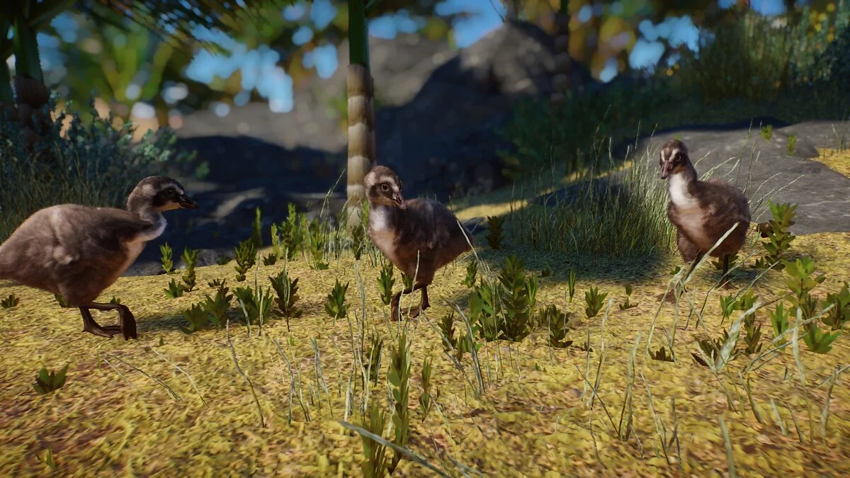 Planet Zoo — Нене (гавайский гусь) - новый вид