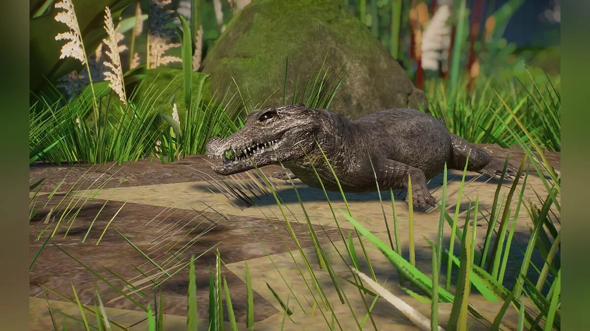 Planet Zoo — Новый вид - африканский карликовый крокодил