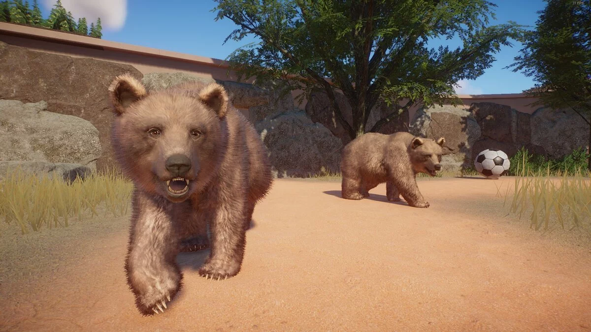 Planet Zoo — Сирийский бурый медведь