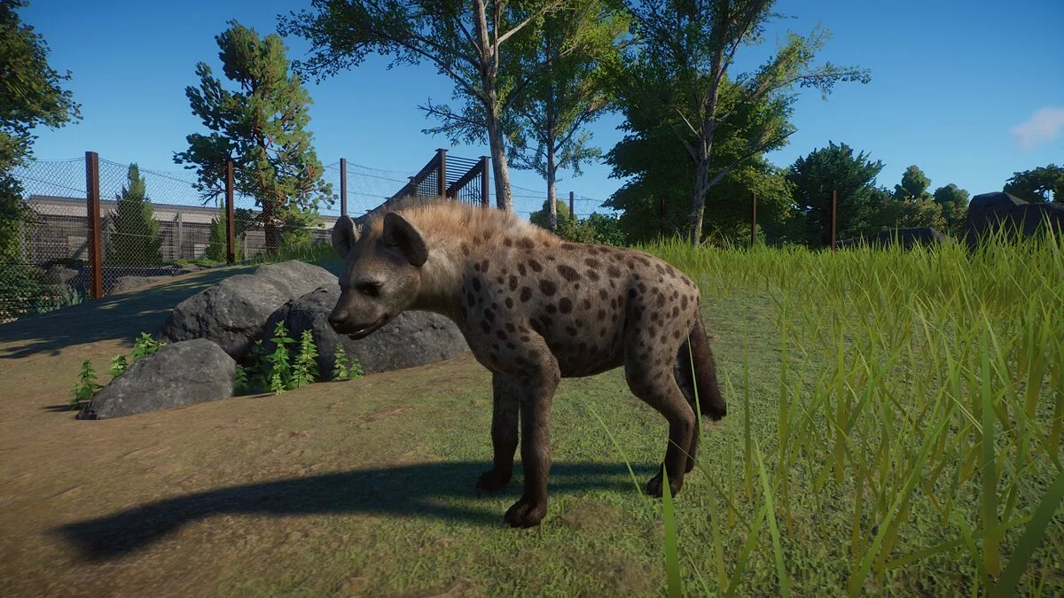 Planet Zoo — Улучшенная гиена