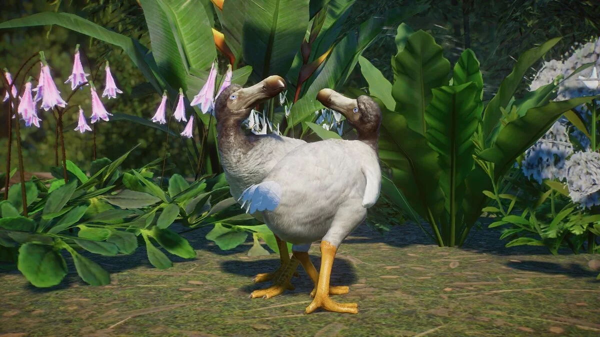 Planet Zoo — Додо - новые виды